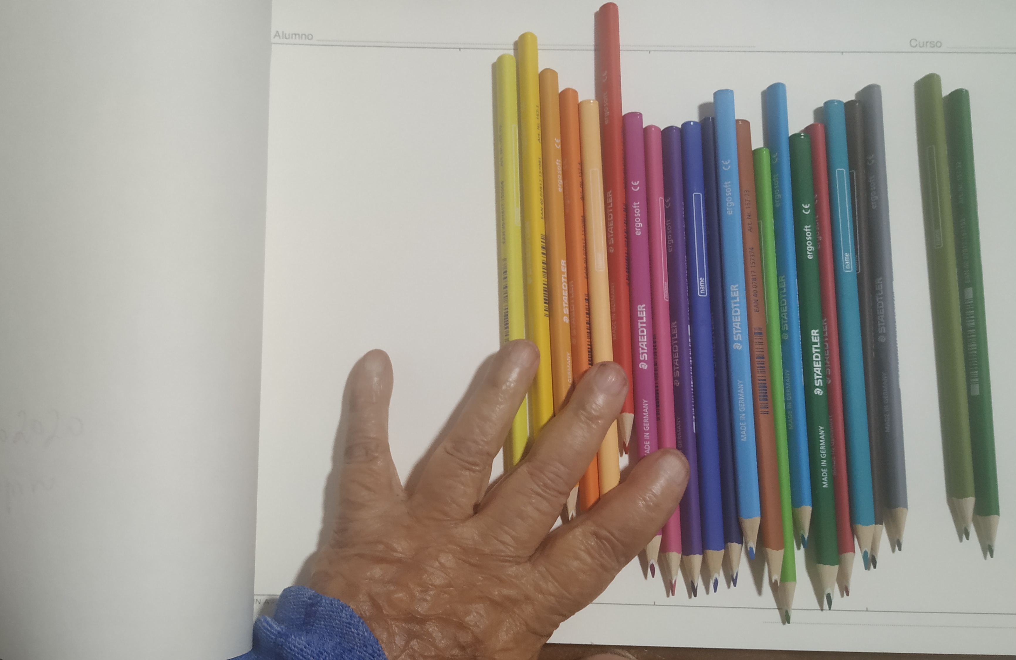Composición de Carmen Pascual, 2 marzo 2020