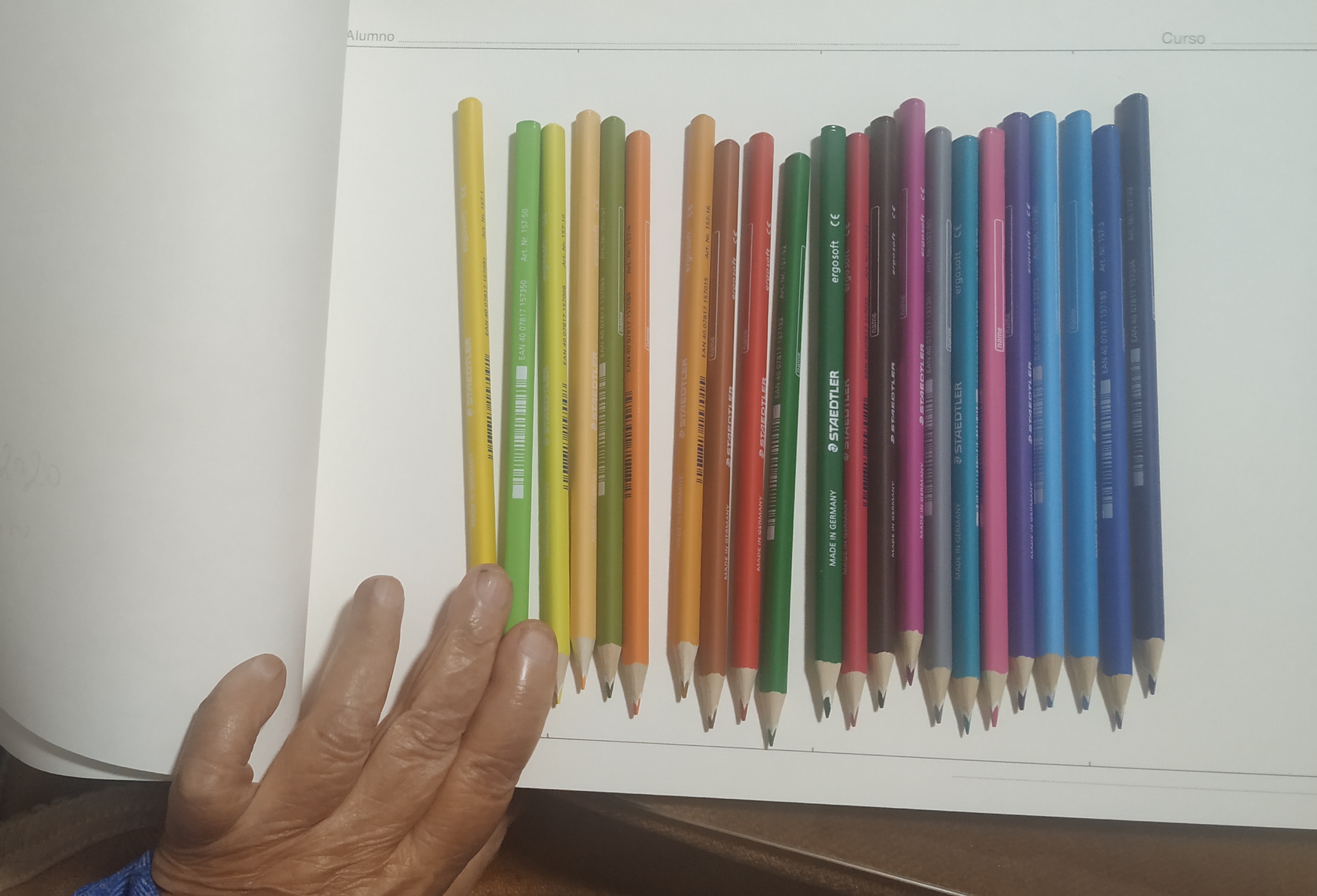 Composición de Carmen Pascual, CP.02.03.2020(4)