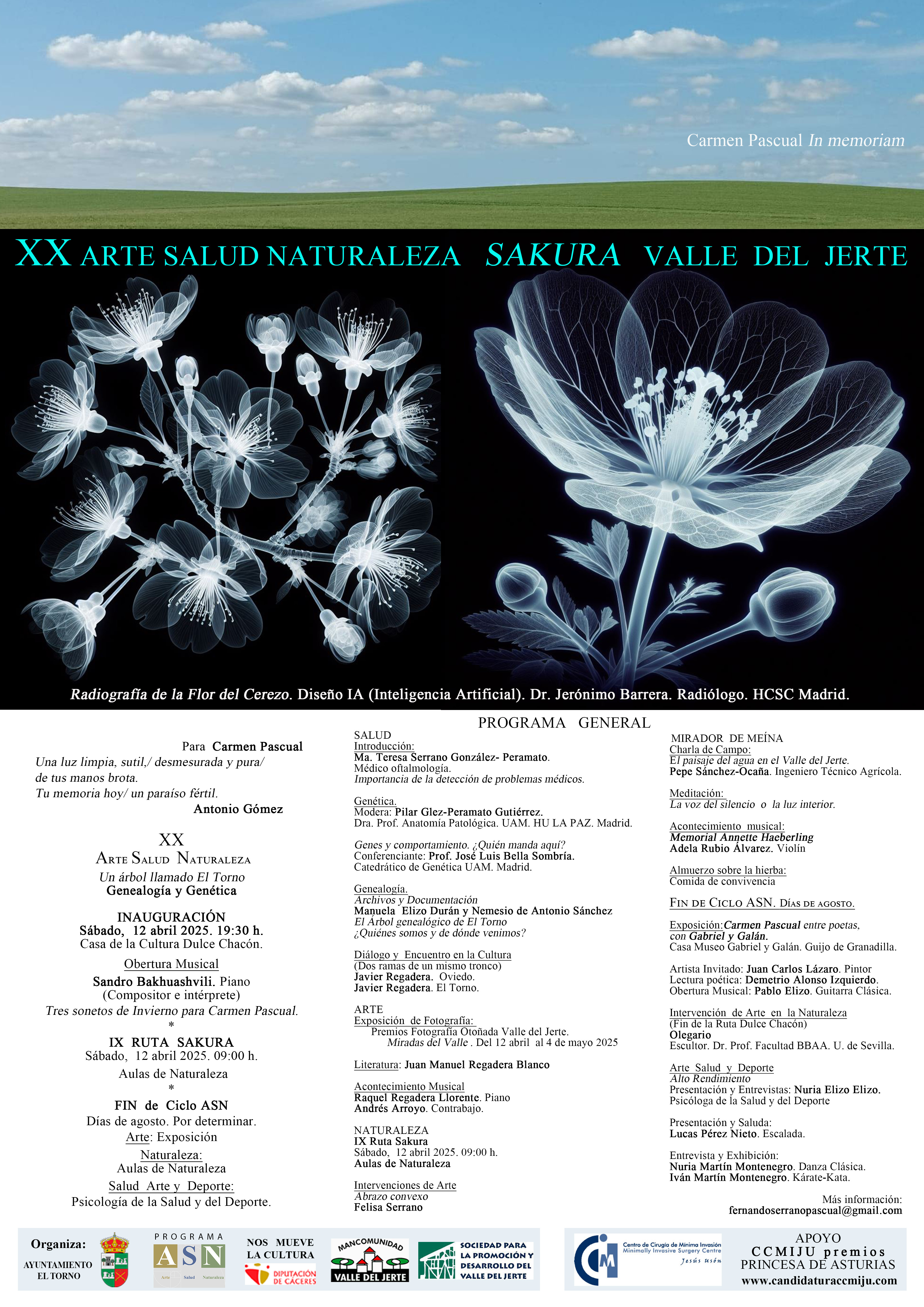 Cartel XX Ciclo Arte Salud Naturaleza
