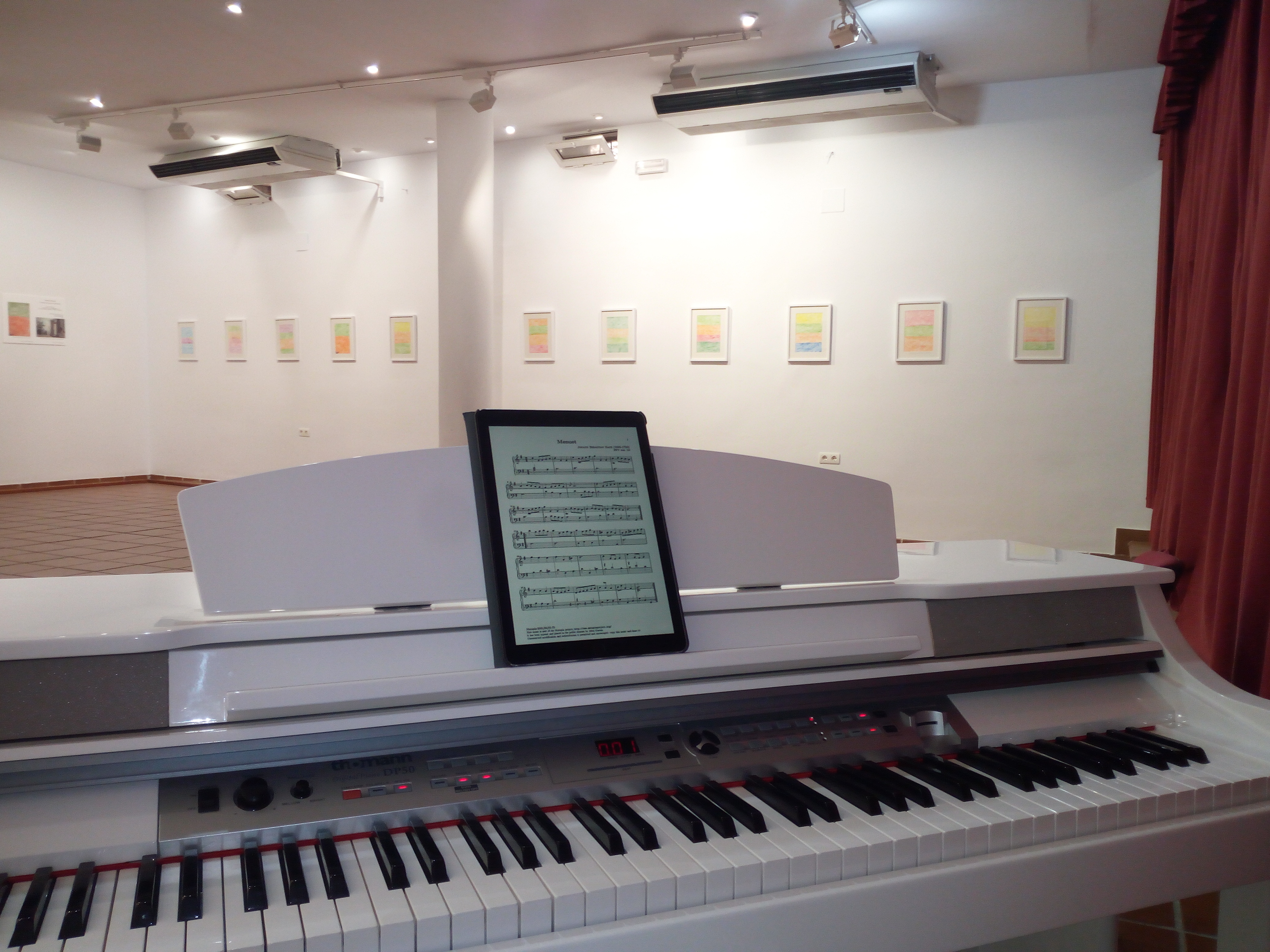 Exposición de Carmen Pascual