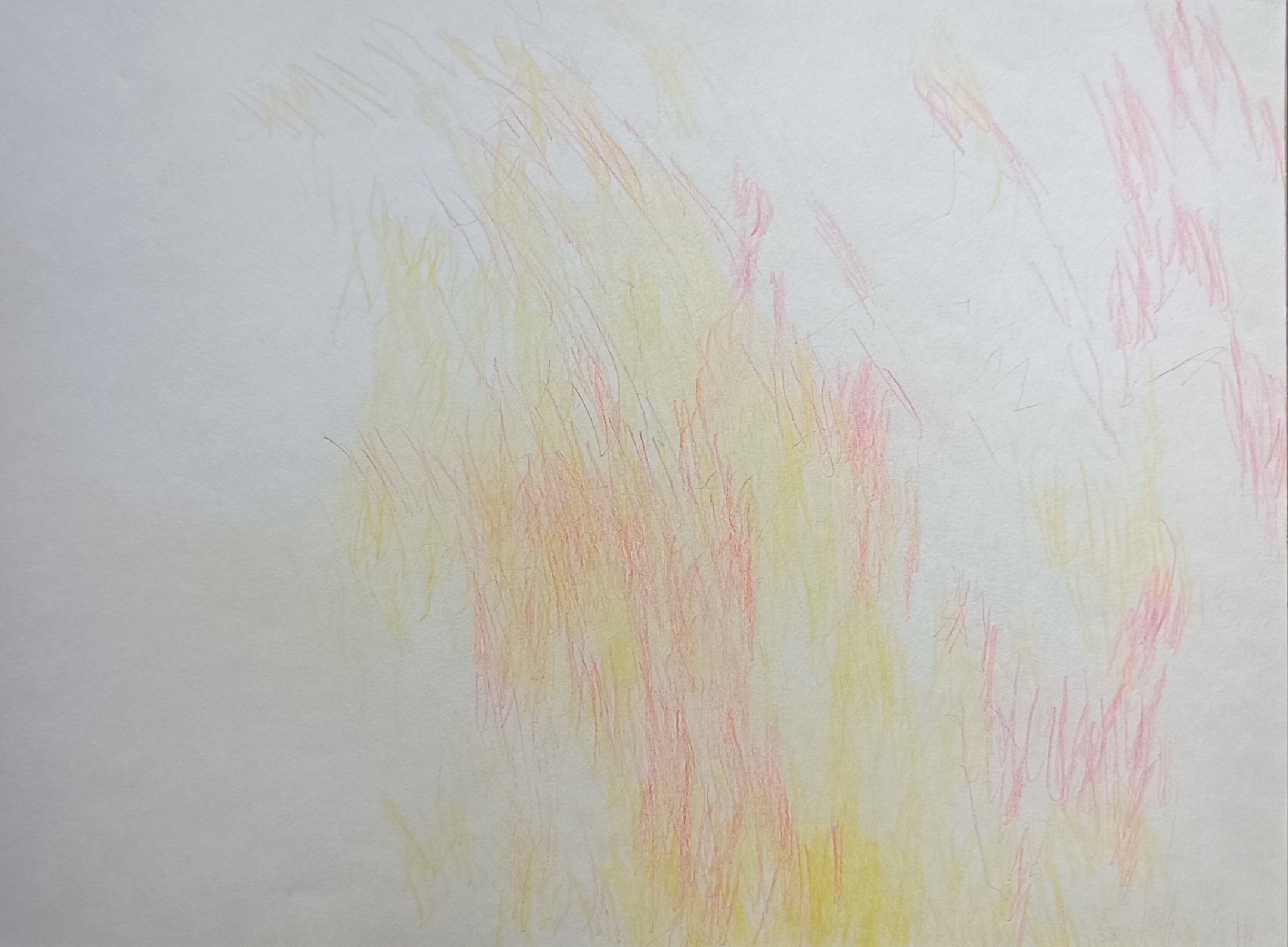 Obra de Carmen Pascual, febrero 2025